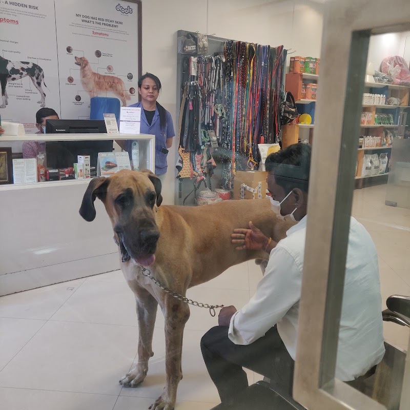 Alphapet Veterinary Hospital