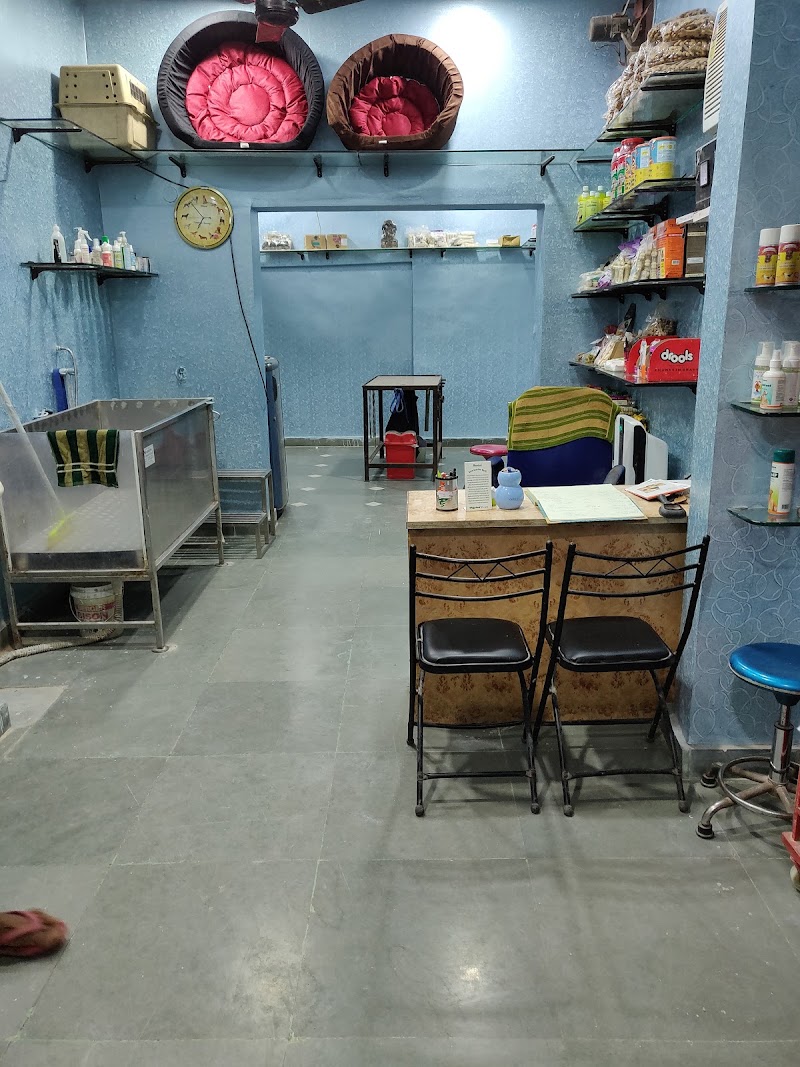 Animal Care and Dog Surgery (Naraina)