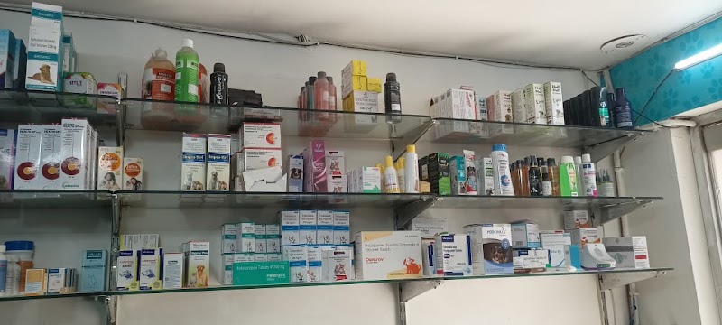 Ashish Pet’s Clinic