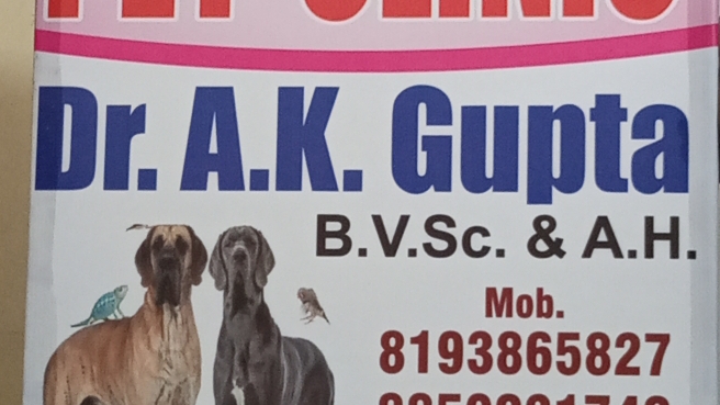 Care Welfare Pet Clinic