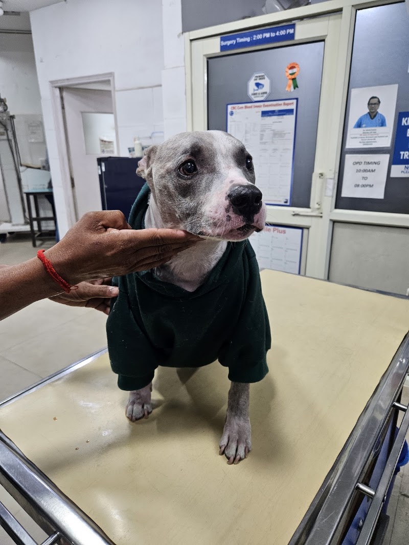 CP Vet (Palam Vihar branch)