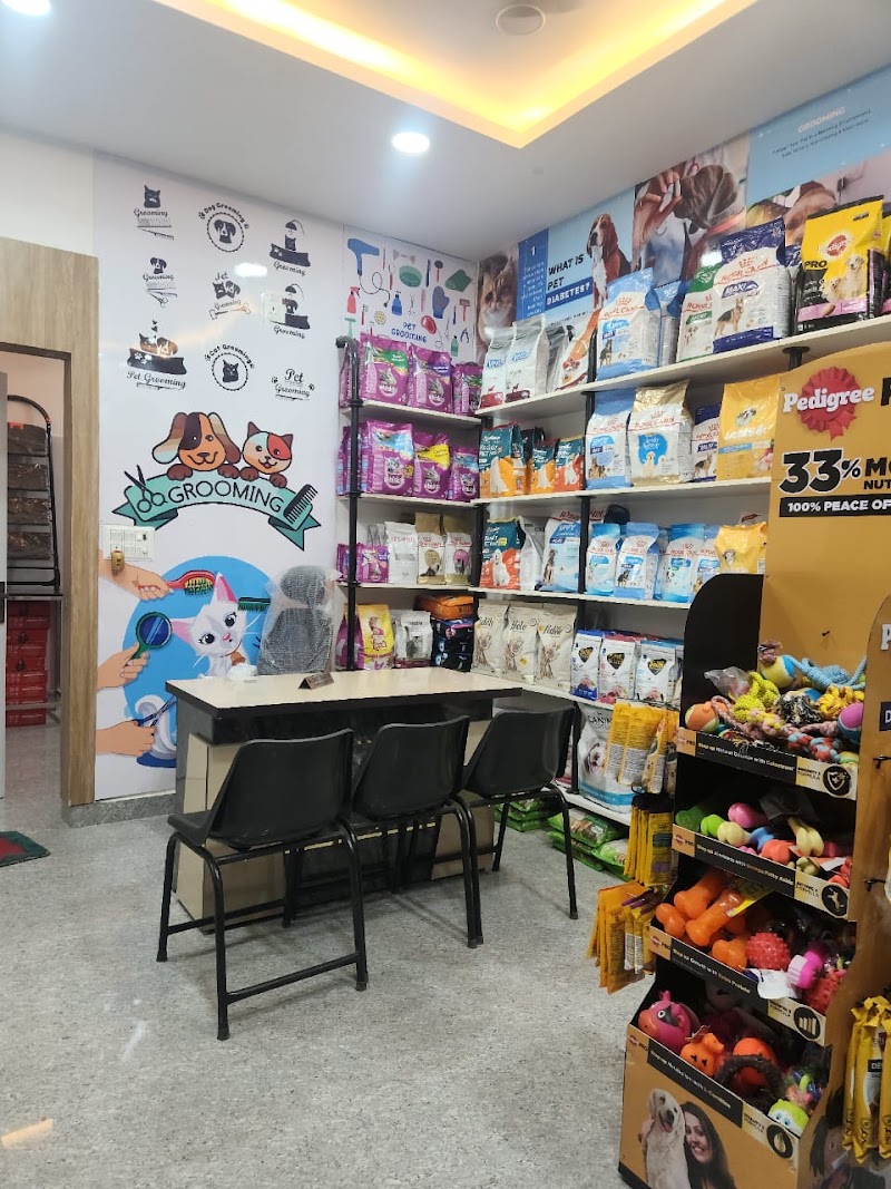 Creative Veterinary Hospital