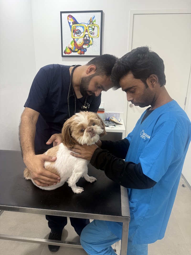 Crown Vet