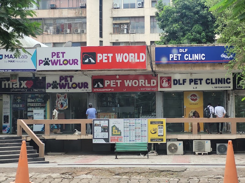 DLF Pet Clinic (Dr. S. Chhillar)