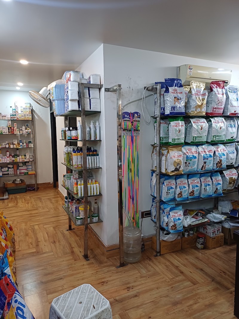 Dog and Cat Clinic (C R Park)