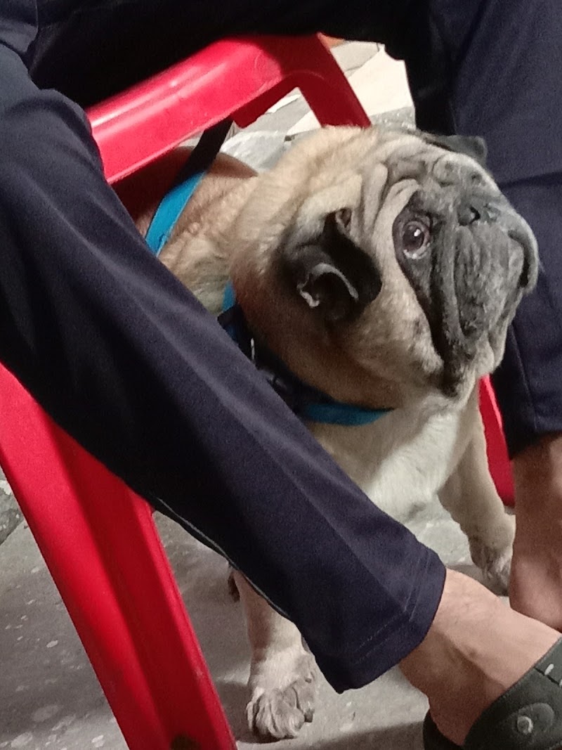Dog And Cat Clinic (Preet Vihar)