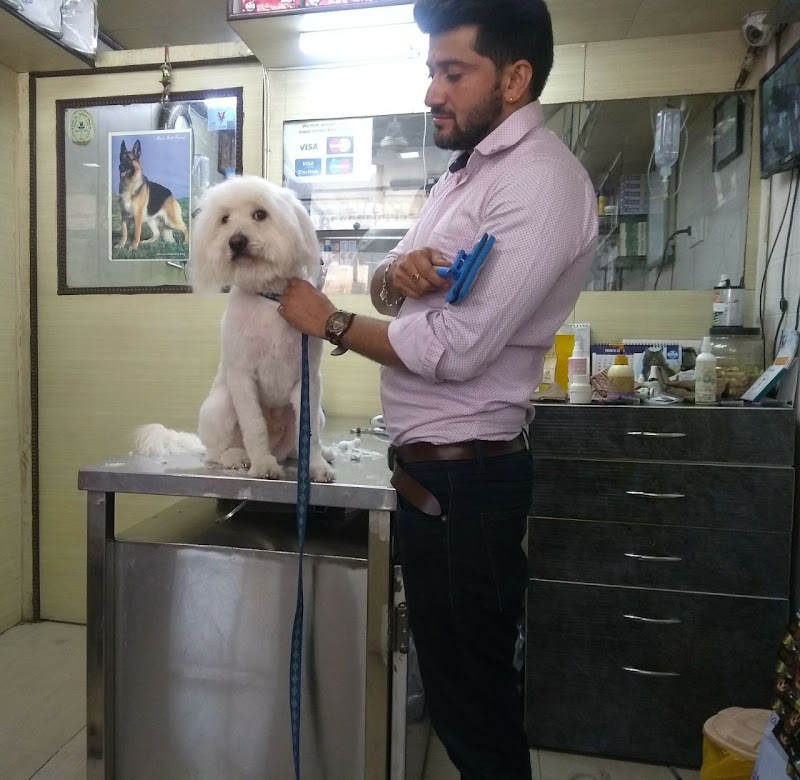 Dr. Ankush Maini’s Pet Clinic & Surgery