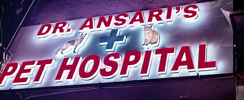 Dr Ansari Pet Clinic and Surgery