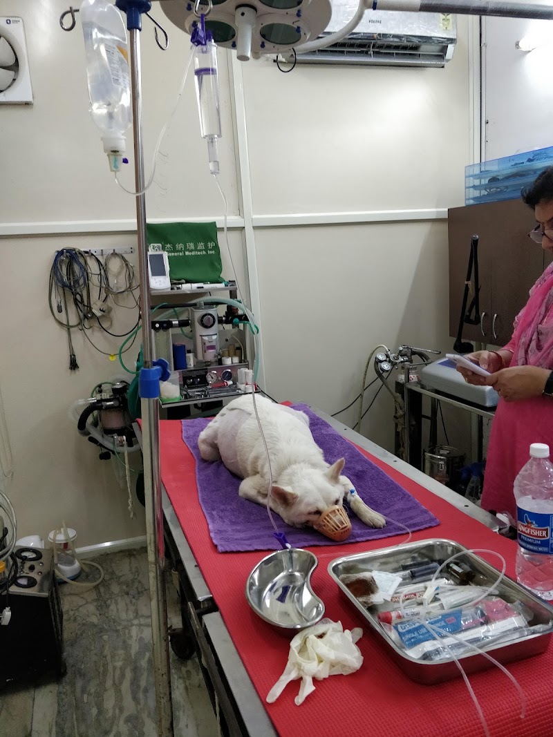 Dr. Bhupender Pet Laser Clinic