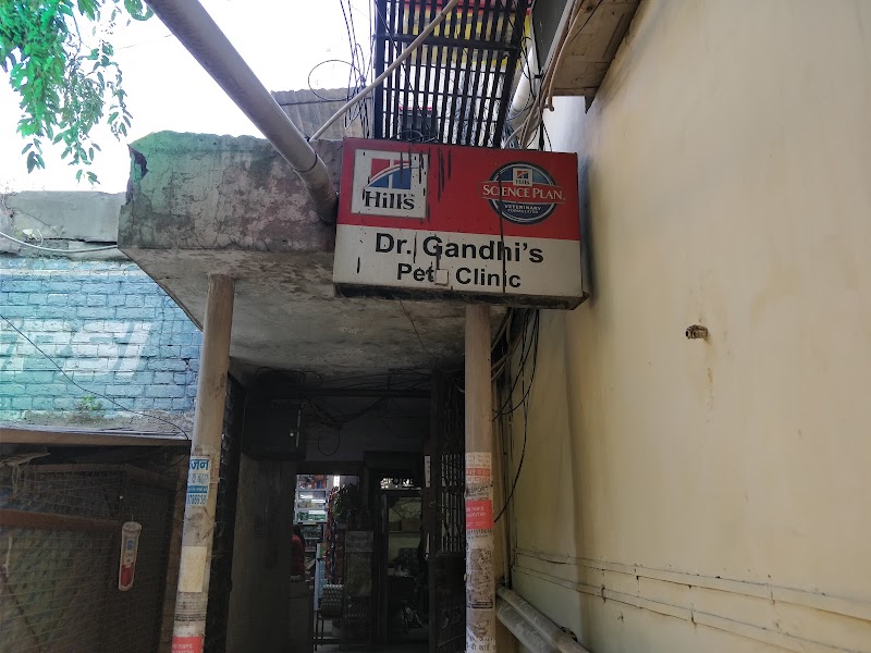 Dr. Gandhi’s Pet Hospital