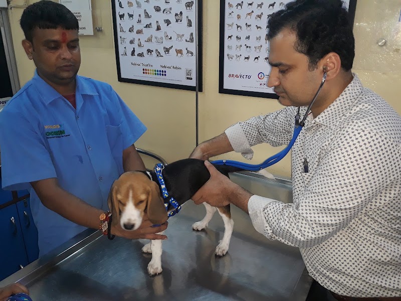 Dr. Jain’s Pet Clinic
