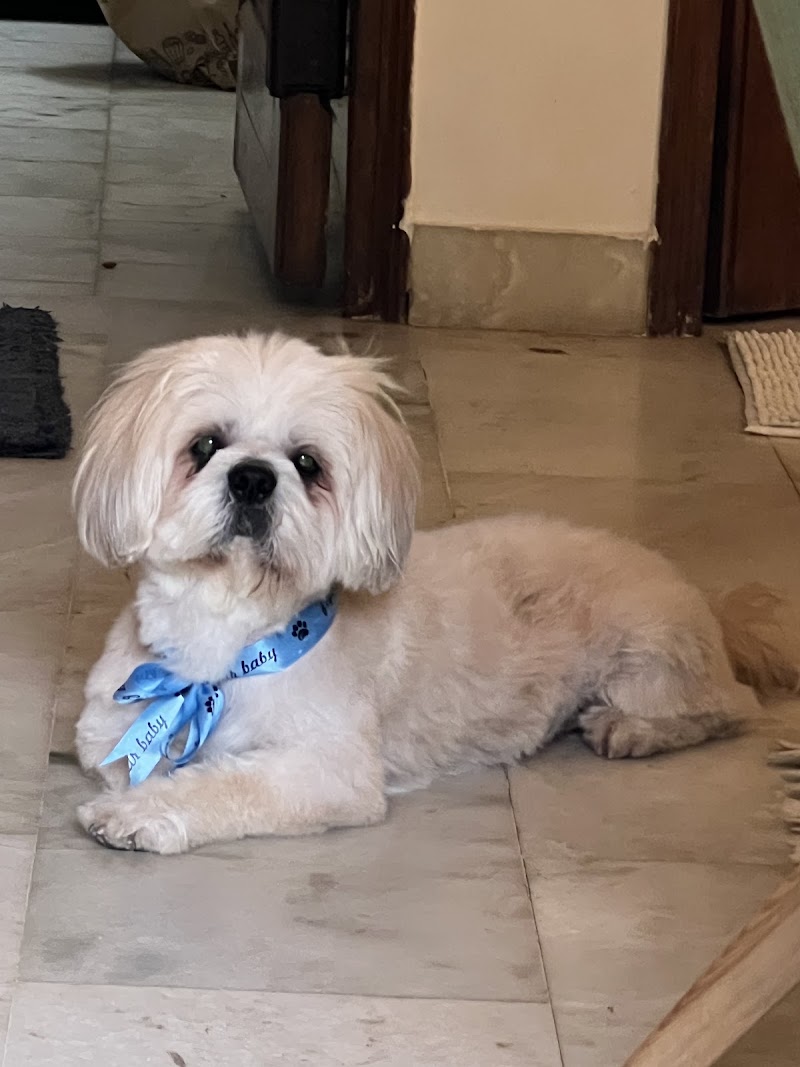 Dr Kharb’s Pet Clinic (Vasant Kunj)