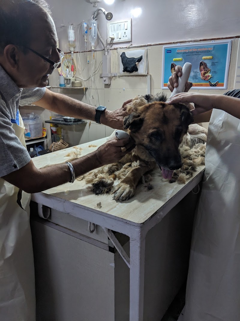 Dr. Puri’s Pet Clinic