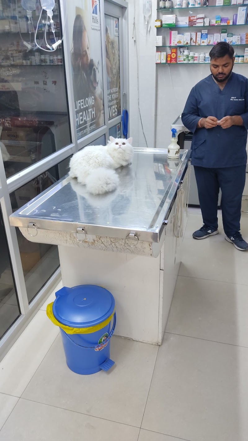 Dr Yadav’s Pet Clinic