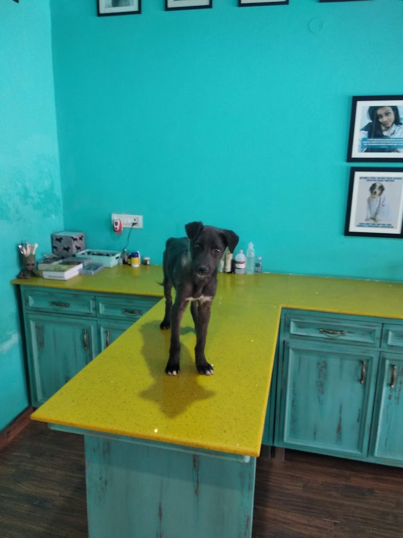 Furry Tales Veterinary Clinic