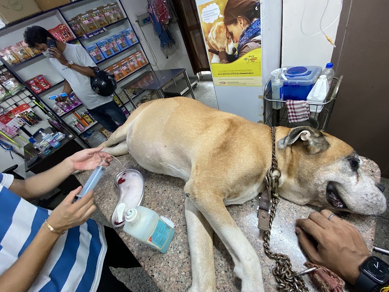 Gayatri Pet Clinic