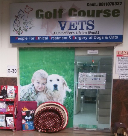 Golf Course Vets