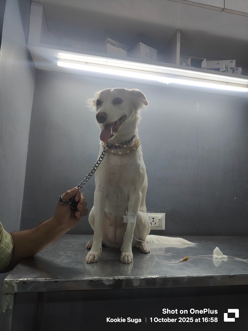 Harry Pet Clinic