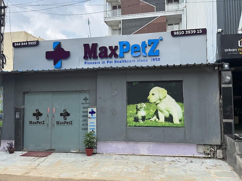 MaxPetZ Gurugram (Sushant Lok 2)