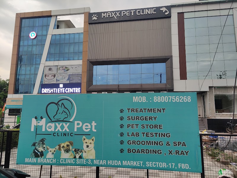 Maxx Pet Clinic