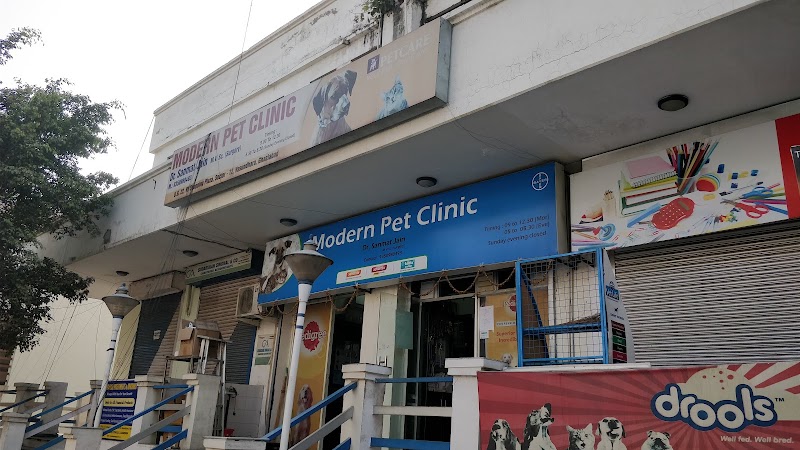 Modern Pet Clinic