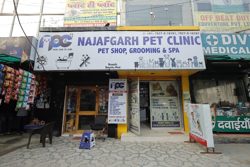 Najafgarh Pet Clinic