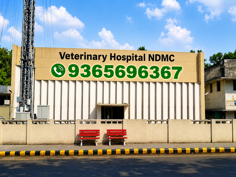 NDMC Veterinary Hospital (Kidwai Nagar / Netaji Nagar)