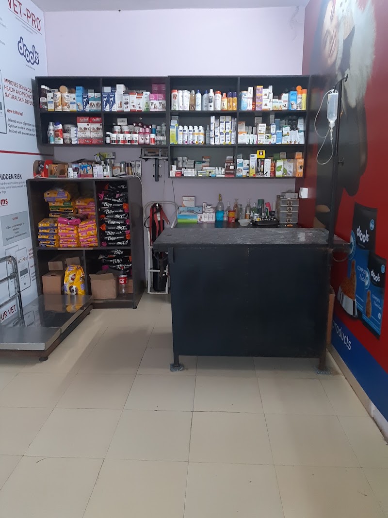 Dolphin Pet Clinic