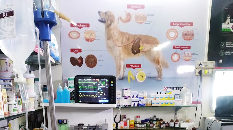 Vetopia Pet Clinic & Surgery Centre