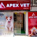 APEX VETS CLINIC
