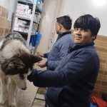 Petcare clinic & pet Shop