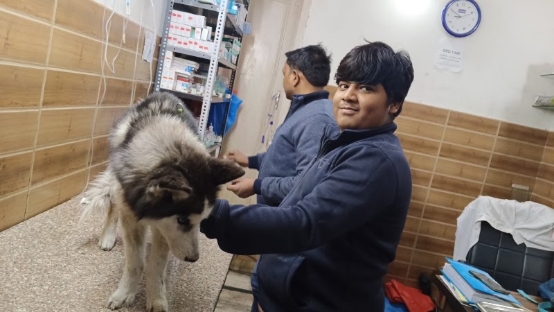 Petcare clinic & pet Shop