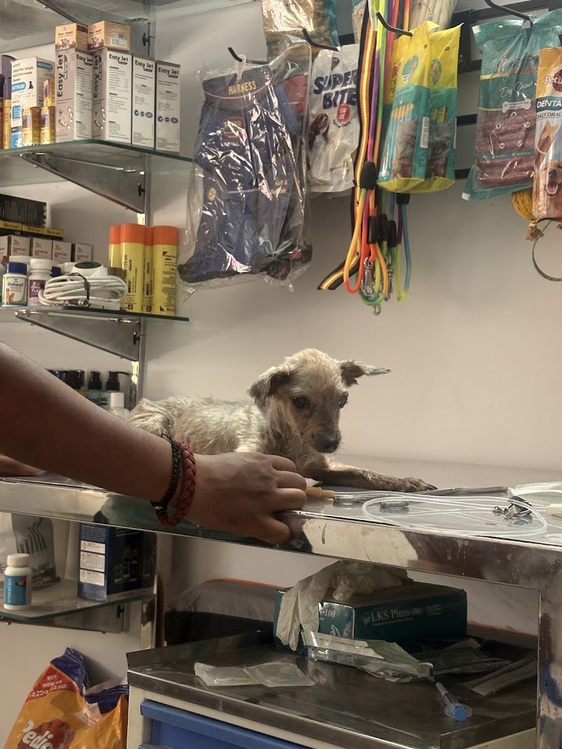 Vetify Animal Clinic Sec-7 Gurgaon