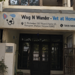 Wag N Wander – Vet at Home