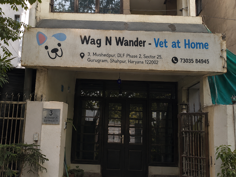 Wag N Wander – Vet at Home