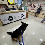 CHARLIE’S PET CARE CENTRE