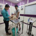 Capital Vets – Pet clinic, Greater Noida