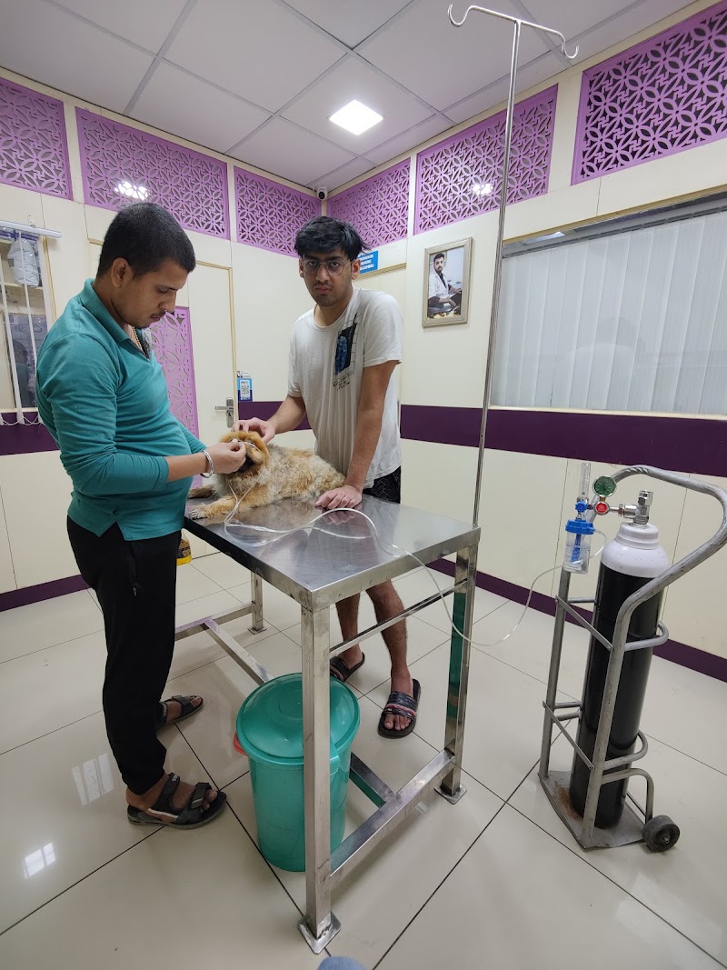 Capital Vets – Pet clinic, Greater Noida