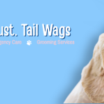 Wag N Wander | Pet Clinic & Grooming