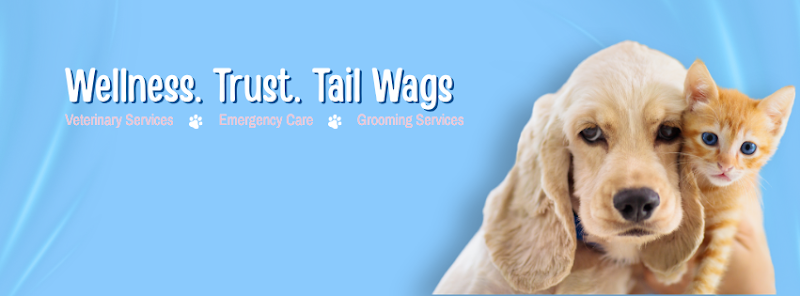 Wag N Wander | Pet Clinic & Grooming