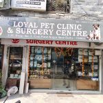 Loyal pet clinic & surgery centre