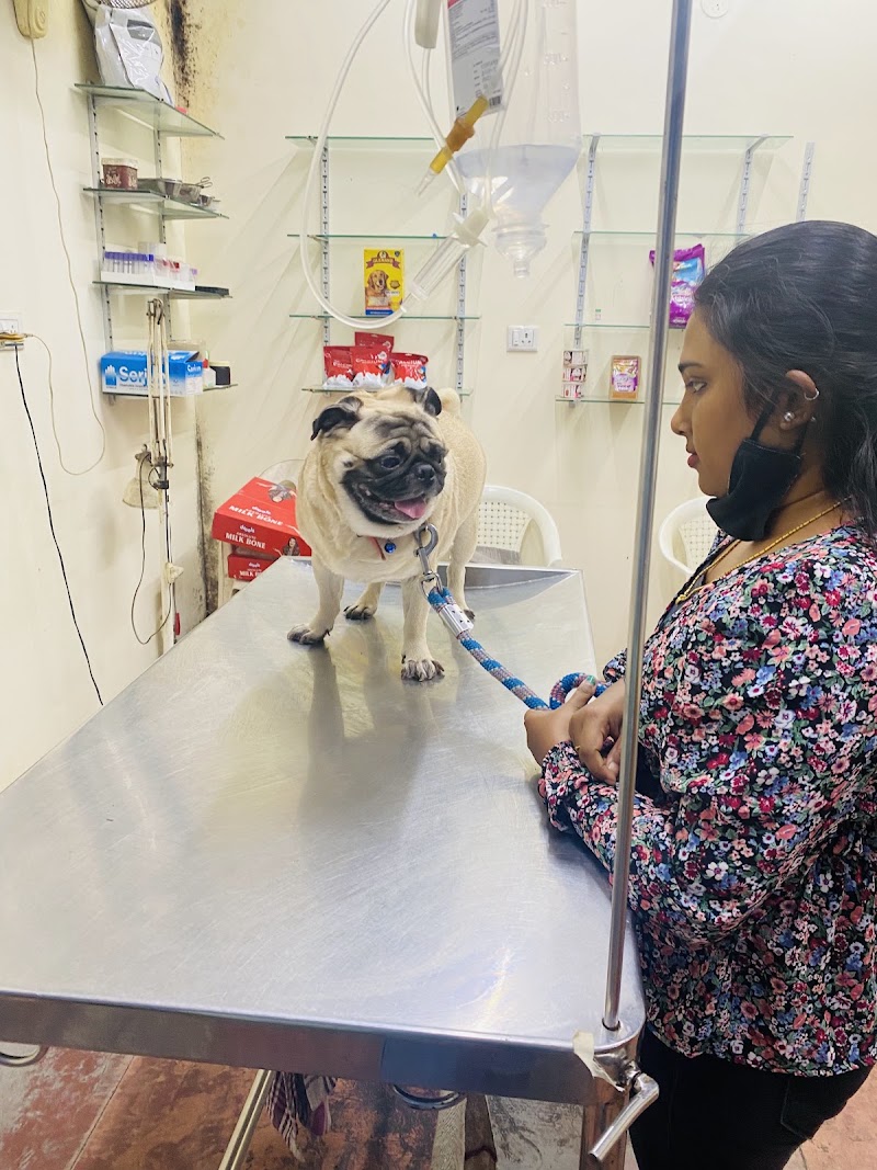 Anu Pet Clinic