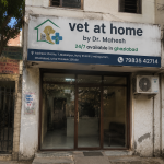 vet at home by Dr. Mahesh 24/7 available in ghaziabad
