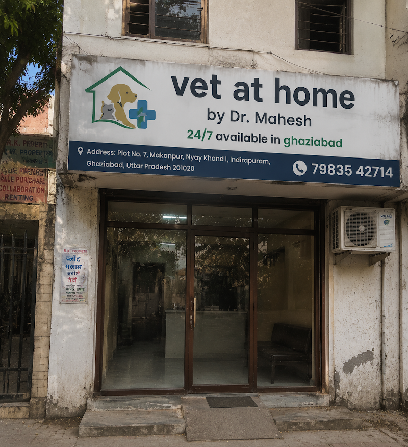 vet at home by Dr. Mahesh 24/7 available in ghaziabad