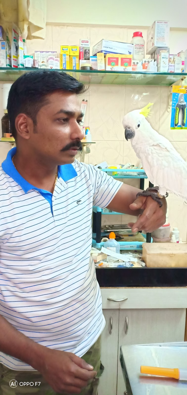 Dr Manish Pingle’s Pet’s Clinic
