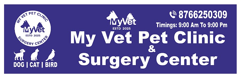 My Vet Pet Clinic & Surgery Center