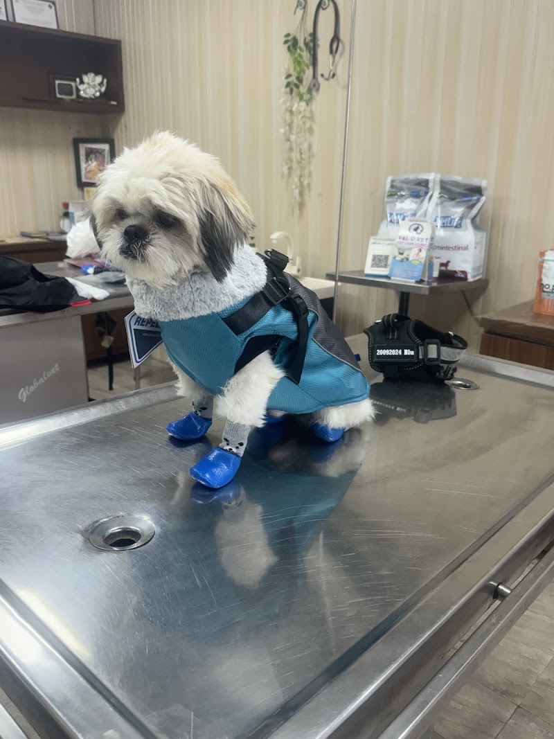 Val _ Uu_ vet veterinary clinic