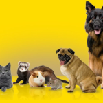 Prolife Veterinary Clinic