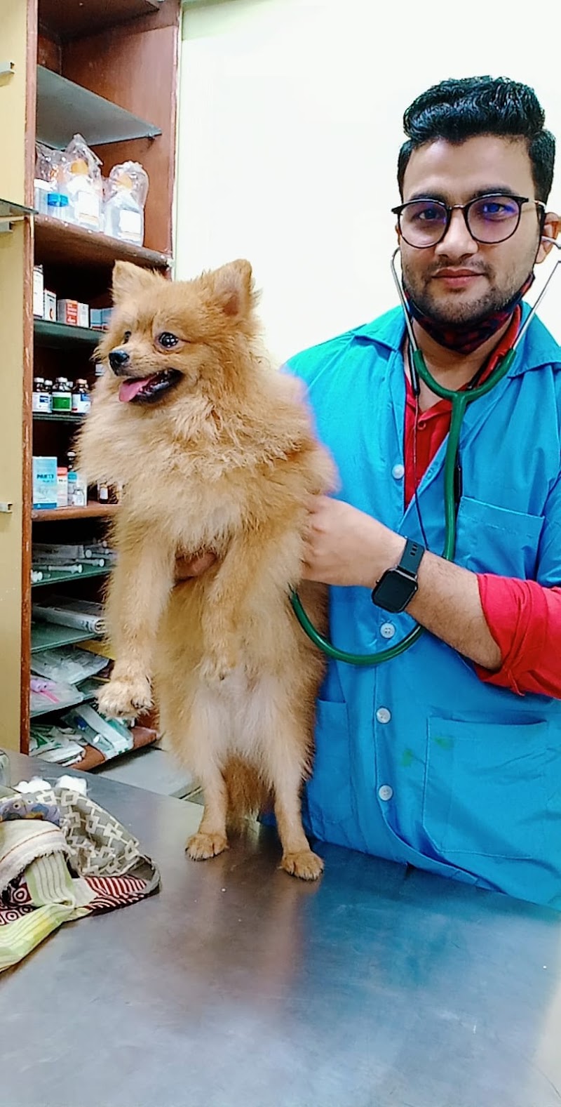 Dr Paw Home Vet | Dr Pet Vet on call | Pet Dr. at Home | Pet Vaccination at Home