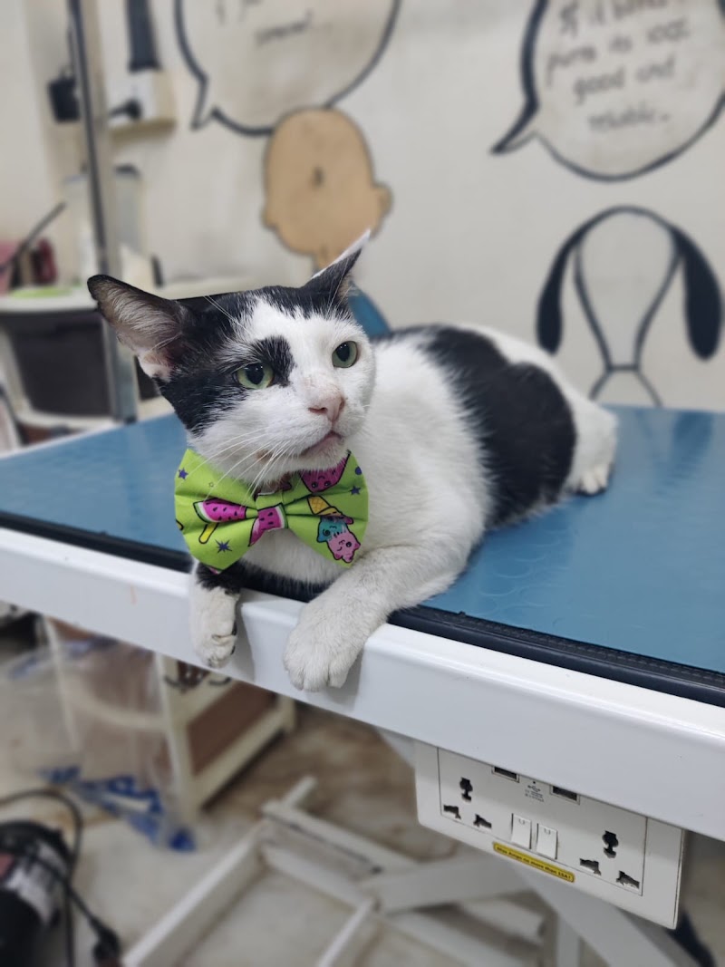 Dr.Fernaz’s Pets Clinic